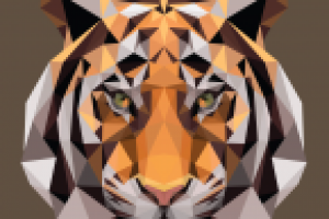 Векторная графика