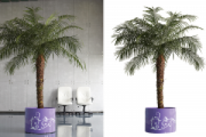 Обтравка растения