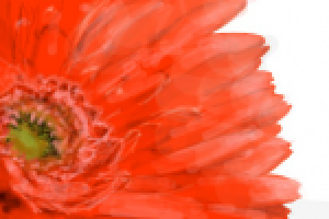 Работа 2809097