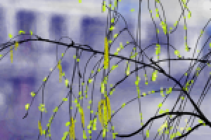 Работа 2809087