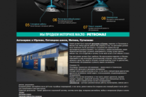 Лендинг с Текстом и Дизайном Сеть автосервисов Diliroff