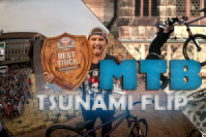 Работа 2771759