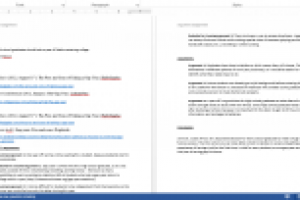 Argument Assignment (Essay)