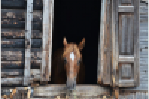 Работа 2560843