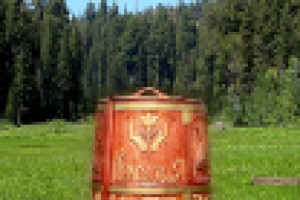 Интервью с фитотерапевтом