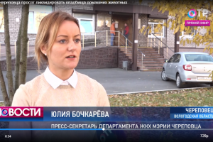 Комментарии в телевизионных СМИ