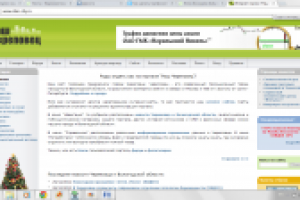 Сайт "Наш Череповец"