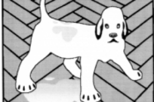 Работа 2884946