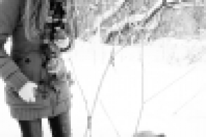 Работа 1430016