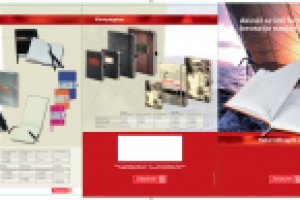 Разработка брошюры "Brunnen"