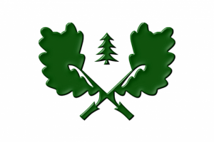 логотип ГКУ ПО "Юрсовское лесничество"