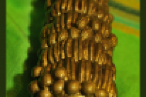 колейдоскоп