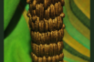 колейдоскоп