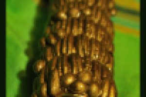 колейдоскоп