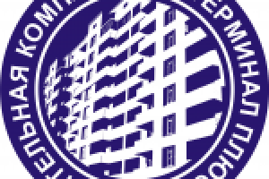 терминал плюс