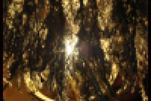 Работа 1043148