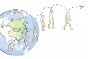 История человека