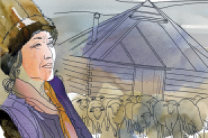 Фрагмент обложки