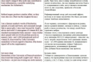 Отрывок из перевода текста -2