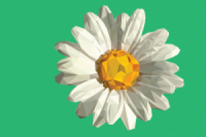 Работа 2674179