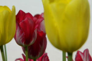 Работа 2682422