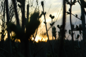 Работа 2682421