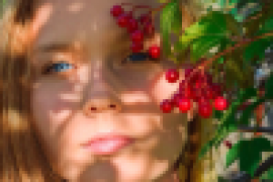 Работа 2682419