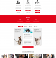 Дизайн и верстка интернет- магазина Royal Canin