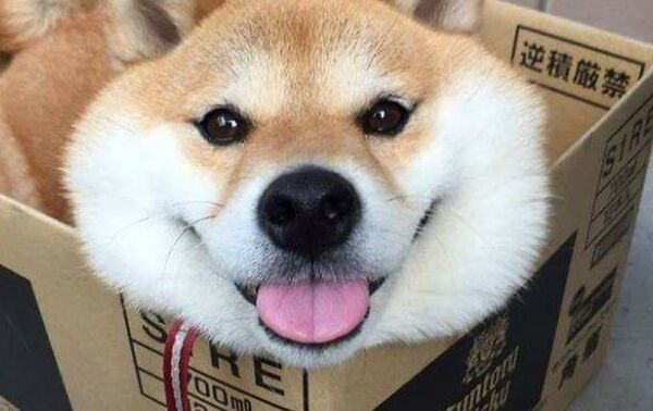 img3699162.png
