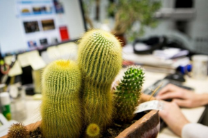 Яндекс.Трекер