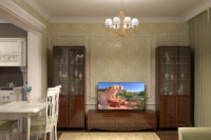 кухня-гостиная