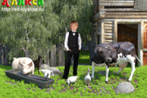 "Скотный двор"