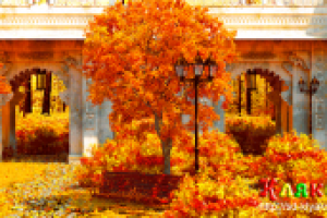 Природа - "Осень" (Осенний парк)