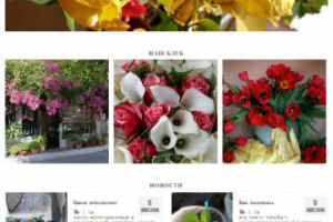 дизайн сайта про цветы