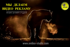 Видео реклама -это уже необходимость