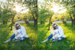 Работа 3029616