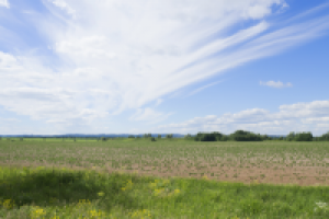 Работа 3017637