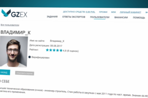 GZEX-помощник в оформлении гос закупок.