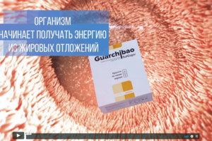 Guarchibao product presentation