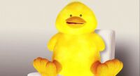 img2185386.png