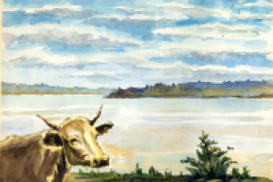 Карелия - любовь моя!