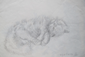 Рисунок карандашом