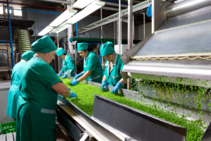 Работа 3713125