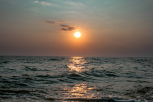 Работа 3712179