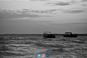 Работа 3712007