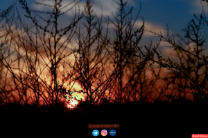 Работа 3711996