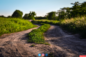 Работа 3711988