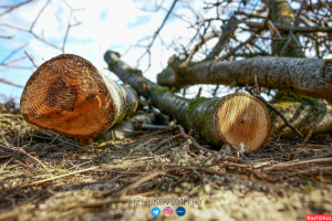 Работа 3711985