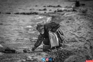 Работа 3711972