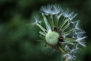 Работа 3705000